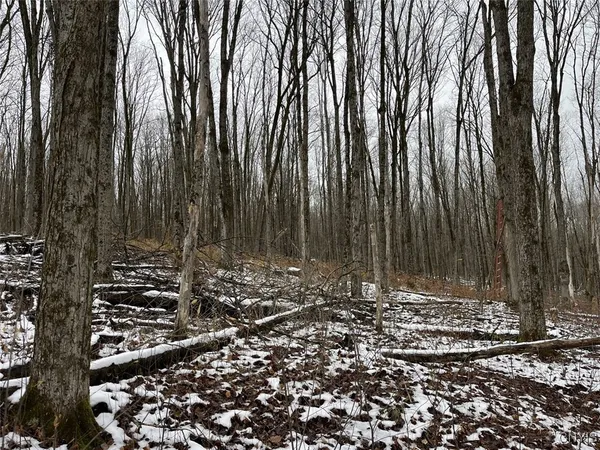 $47,900 | Jersey Hill Road, Canaseraga, NY 14822