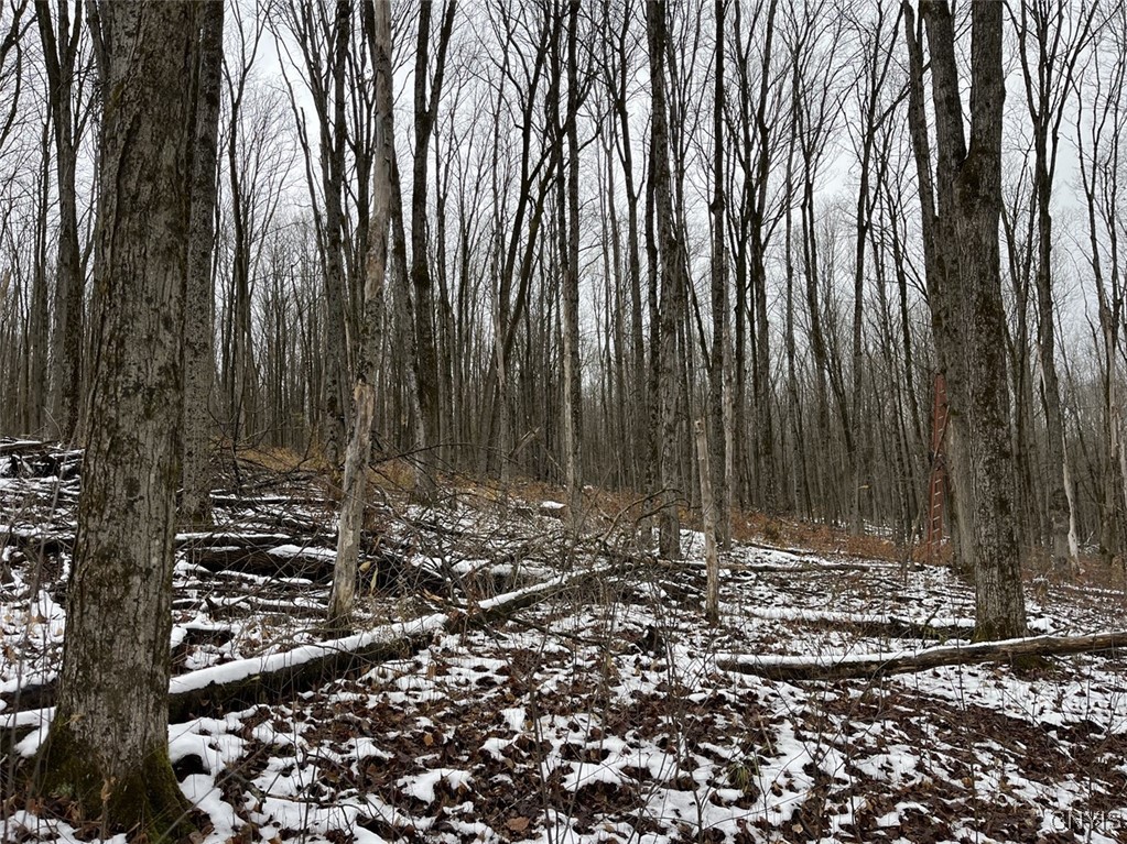 Jersey Hill Road Canaseraga, NY 14822 - Photo 10 of 11