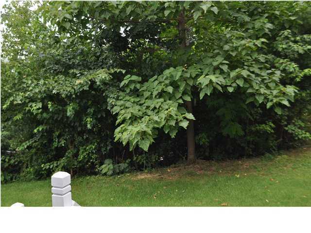 3603 John Sims Road Chattanooga, TN 37412 - Photo 27 of 32 Additional Photo