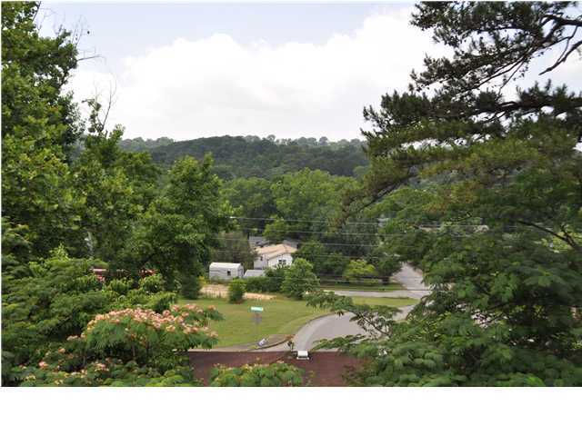 3603 John Sims Road Chattanooga, TN 37412 - Photo 30 of 32 Additional Photo