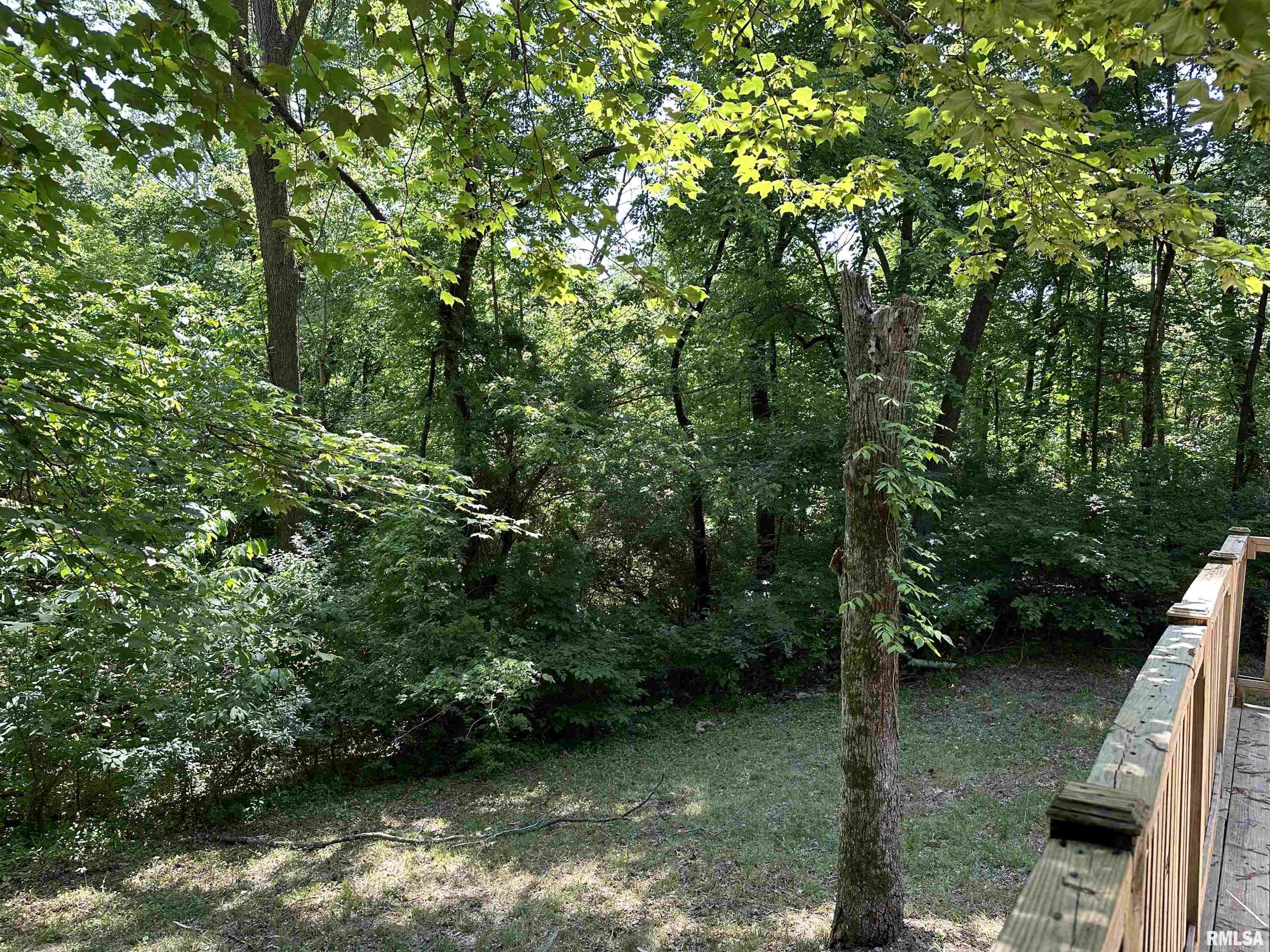 4716 Chautauqua Road Murphysboro, IL 62966 - Photo 49 of 71