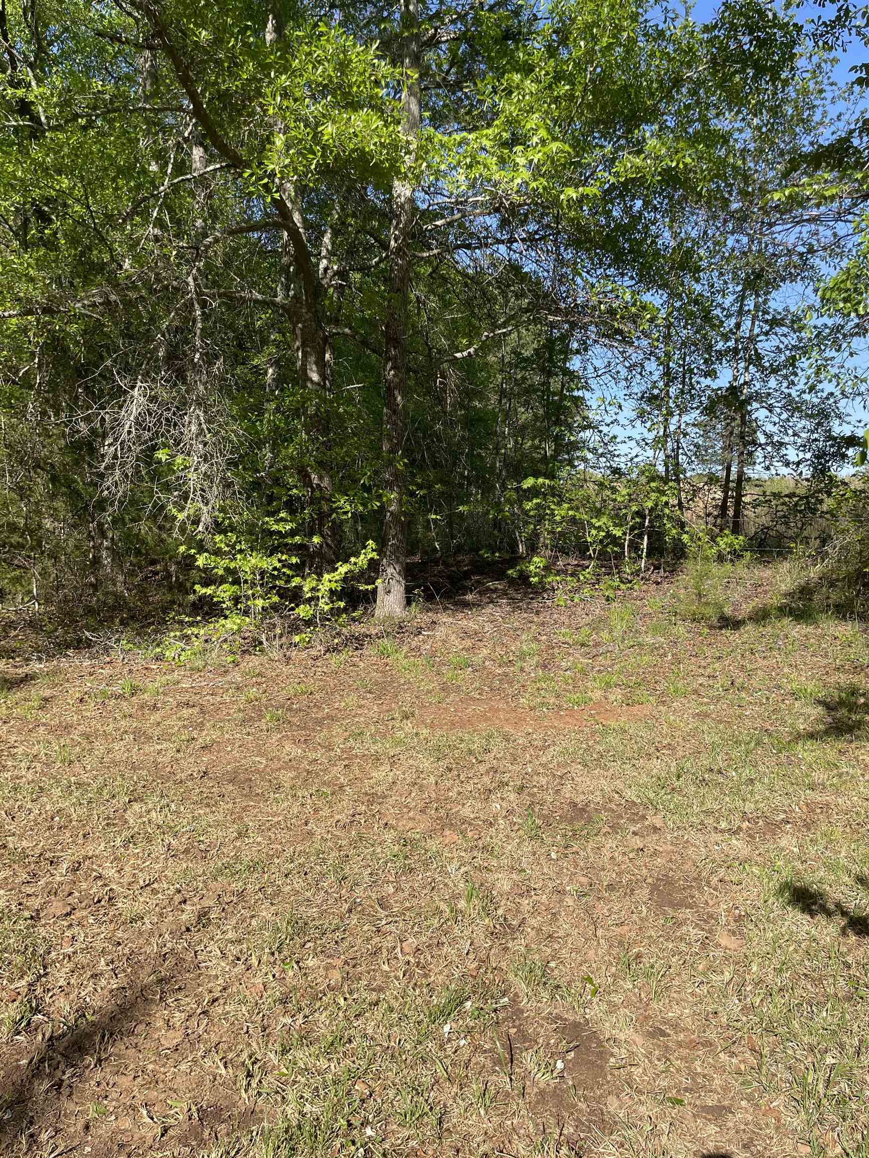 0 Haney Cemetery Road Union, SC 29379 - Photo 2 of 6