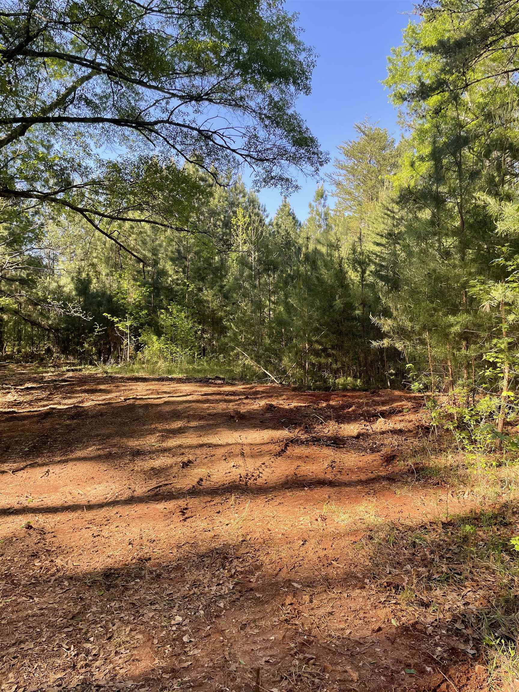 0 Haney Cemetery Road Union, SC 29379 - Photo 3 of 6
