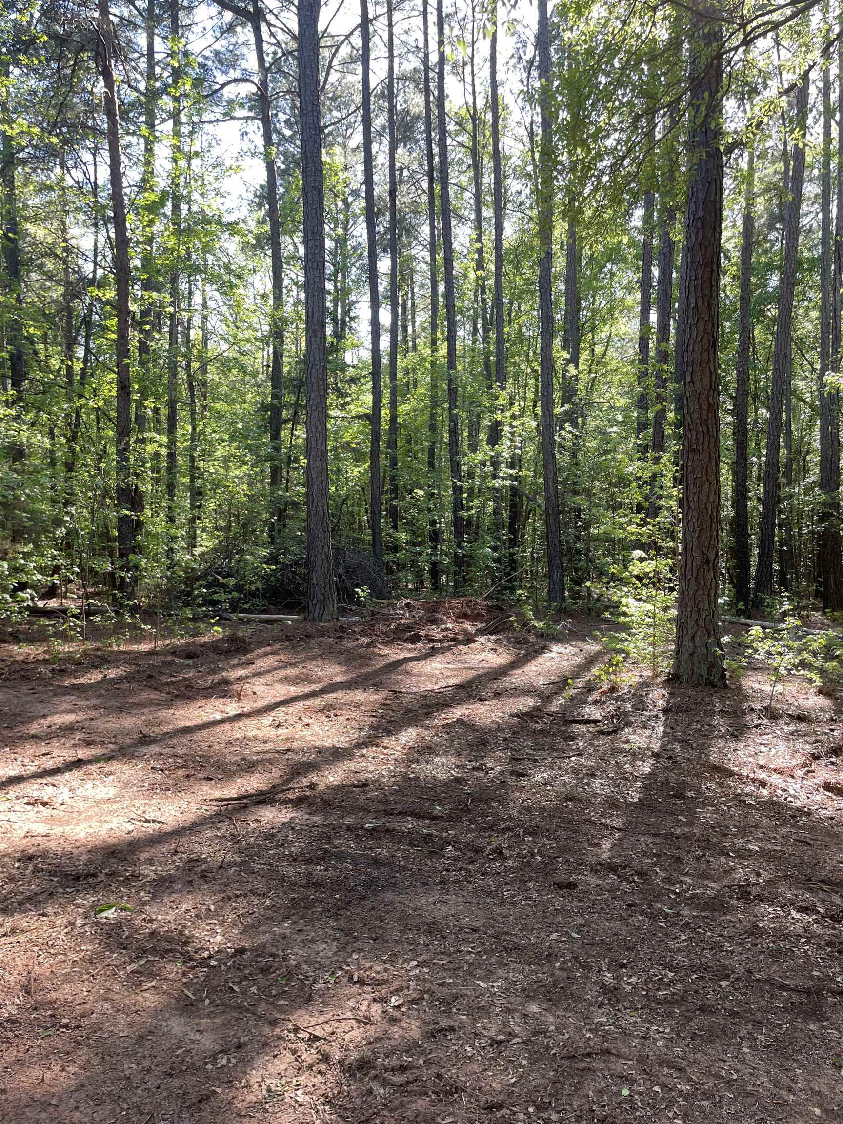 0 Haney Cemetery Road Union, SC 29379 - Photo 4 of 6