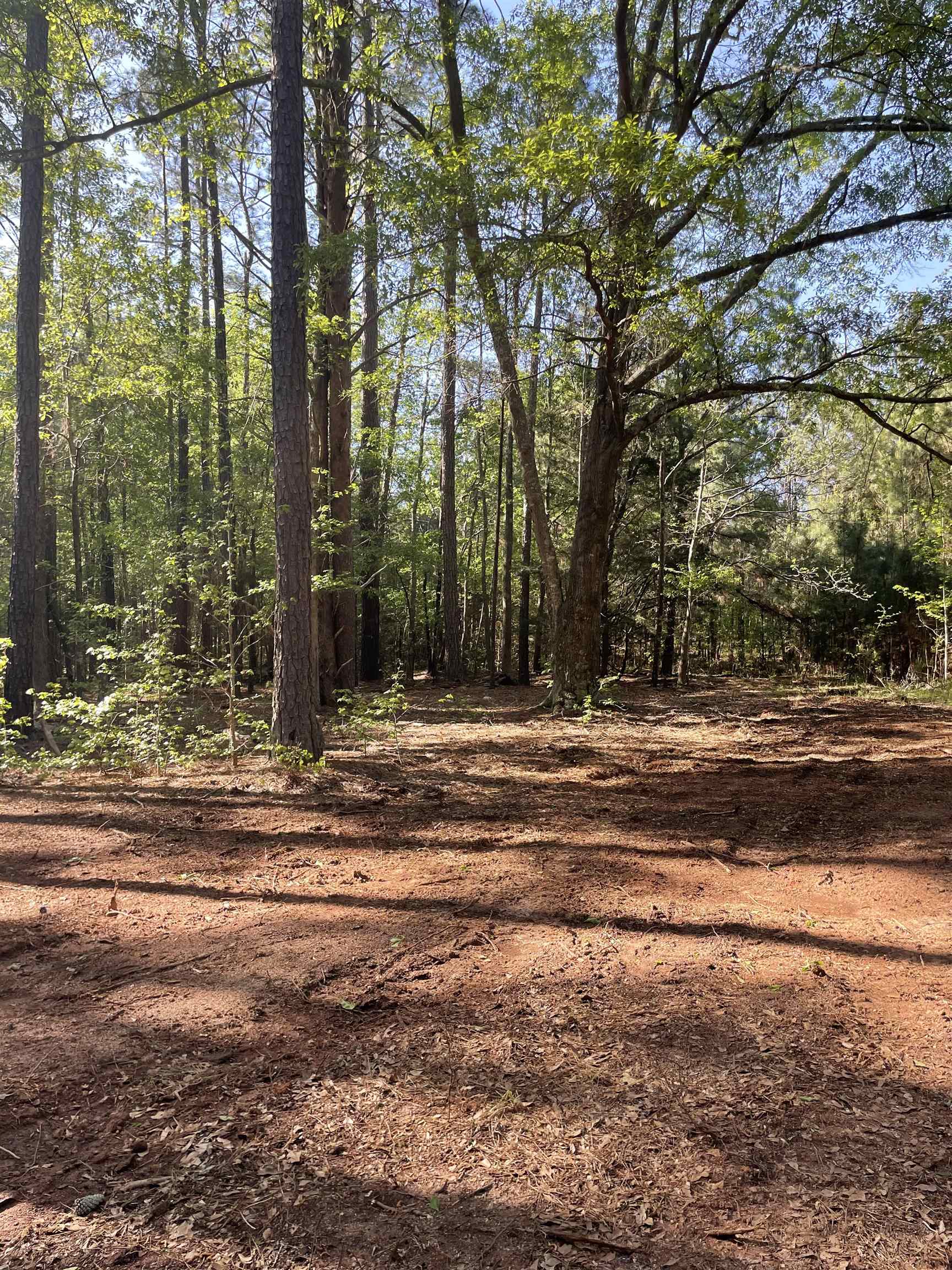 0 Haney Cemetery Road Union, SC 29379 - Photo 5 of 6