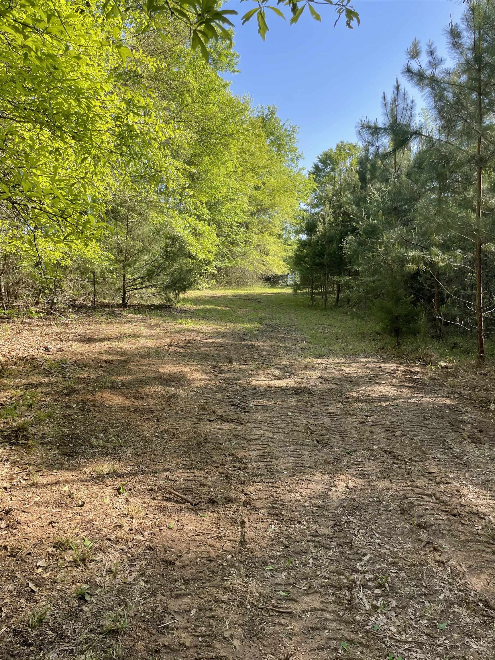 0 Haney Cemetery Road Union, SC 29379 - Photo 6 of 6
