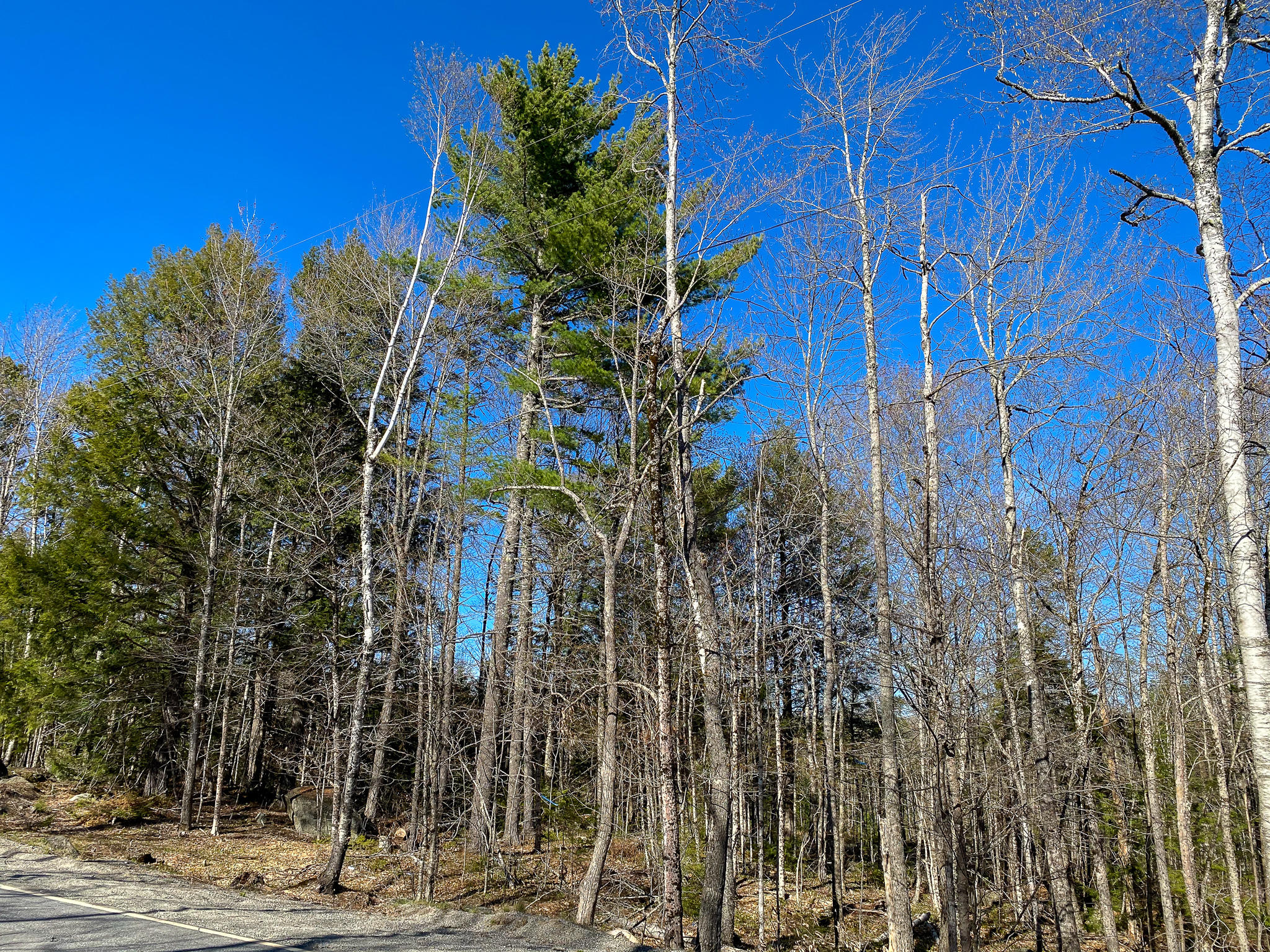 1510 Otis Road Ellsworth, ME 04605 - Photo 2 of 20 IMG_3143
