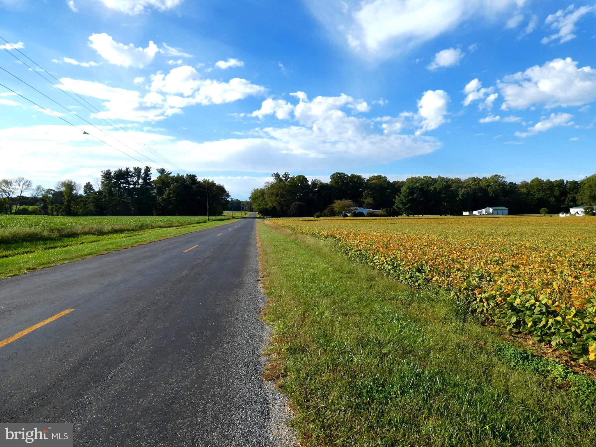 Dudley Chance Road Galena, MD 21635 - Photo 5 of 7 Road View