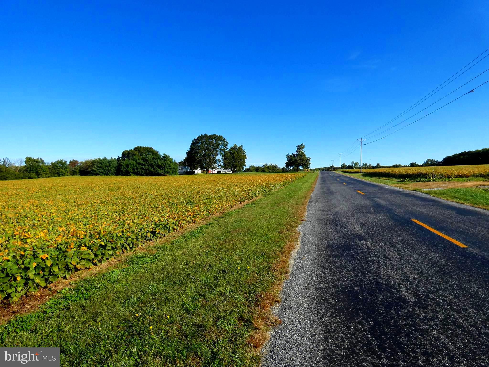 Dudley Chance Road Galena, MD 21635 - Photo 6 of 7 Road View