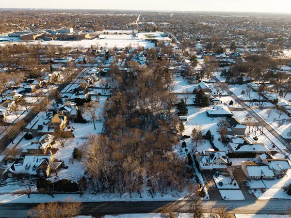 an aerial view of residential houses with city view