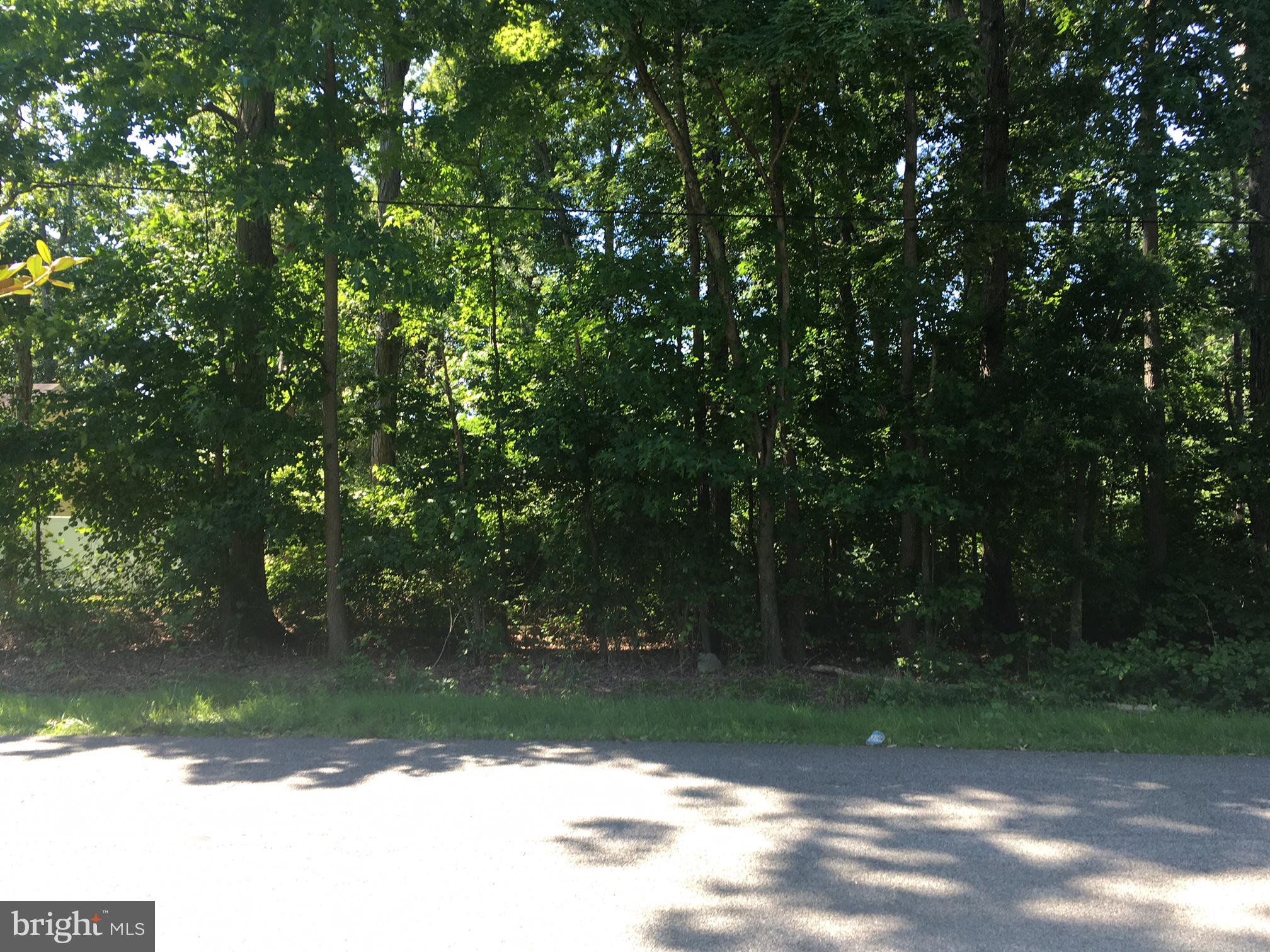 Judefind Avenue Rock Hall, MD 21661 - Photo 1 of 3 Wooded lot in a private, in-town location
