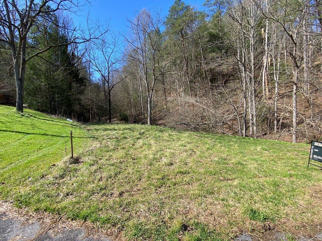 0 Little Cove Church Road Sevierville, TN 37862 - Photo 31 of 41 Gallery Image 31