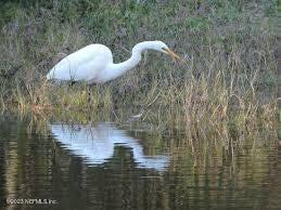 583 Ashby Landing Way St. Augustine, FL 32086 - Photo 35 of 48 a view of a lake from a balcony