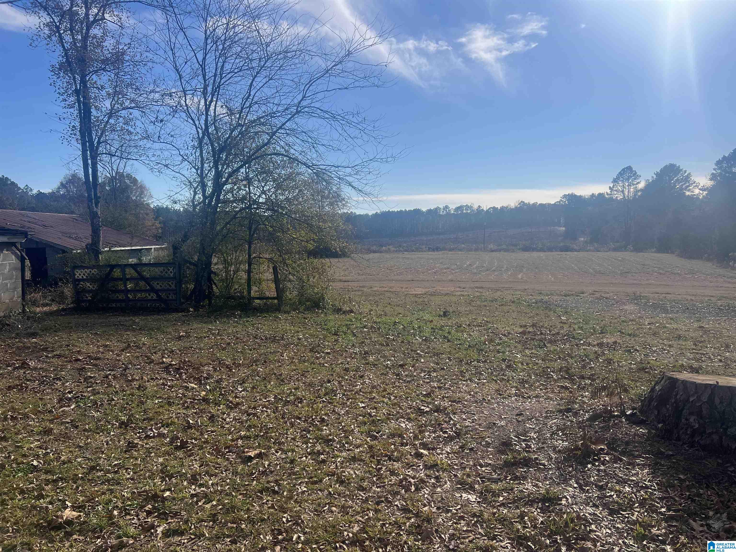 451 Prospect Road Nauvoo, AL 35578 - Photo 12 of 16