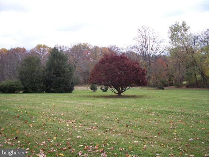 115 Ashton Road Ashton, MD 20861 - Photo 6 of 25 a view of outdoor space and yard