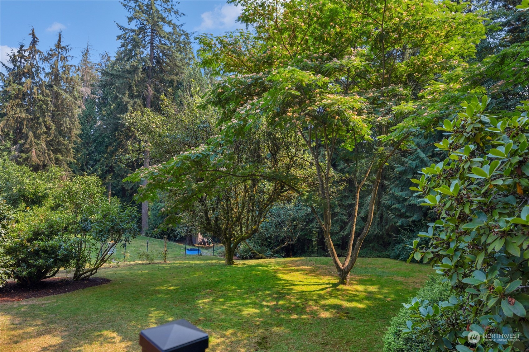 5616 227th Street Southeast Bothell, WA 98021 - Photo 15 of 38 a view of swimming pool with a yard