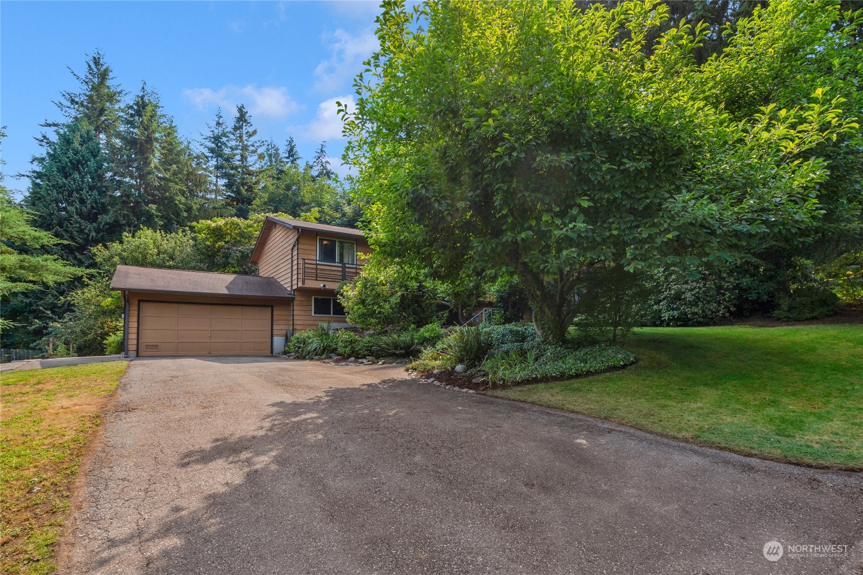 5616 227th Street Southeast Bothell, WA 98021 - Photo 3 of 38 a front view of a house with a yard and trees