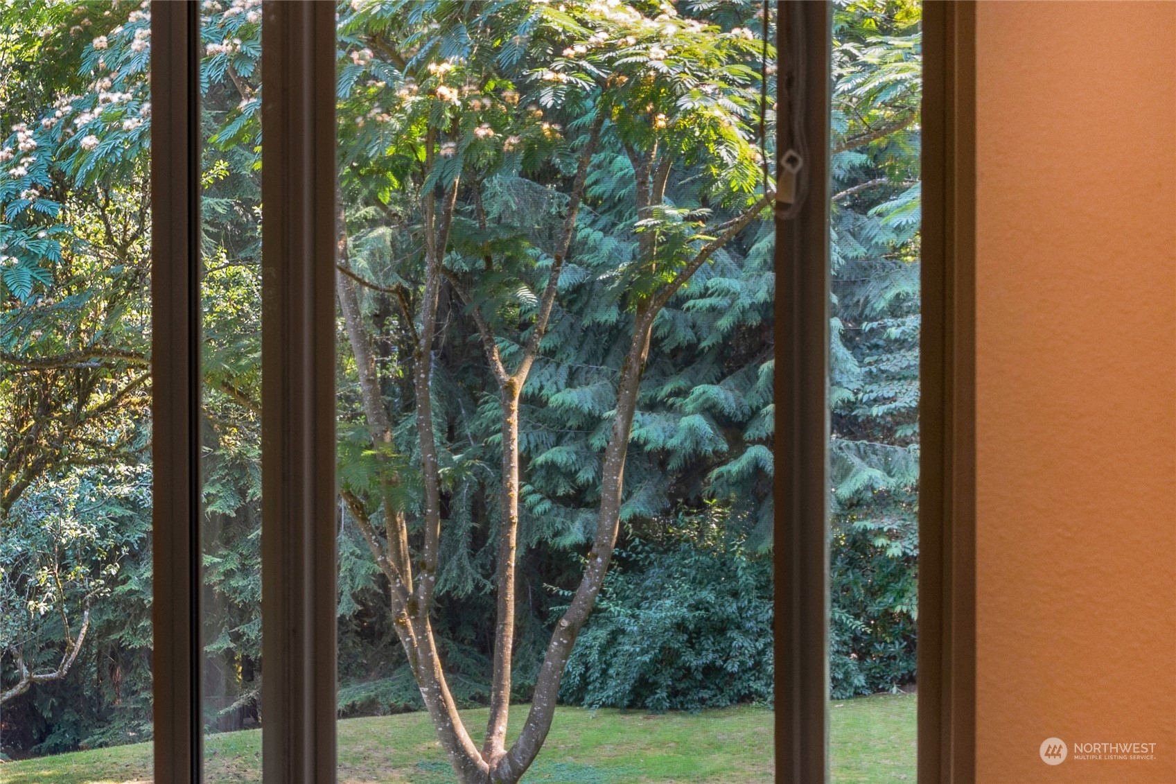 5616 227th Street Southeast Bothell, WA 98021 - Photo 10 of 38 a view of a garden from a window