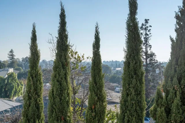 $729,000 | 15675 Liberty Street, San Leandro, CA 94578