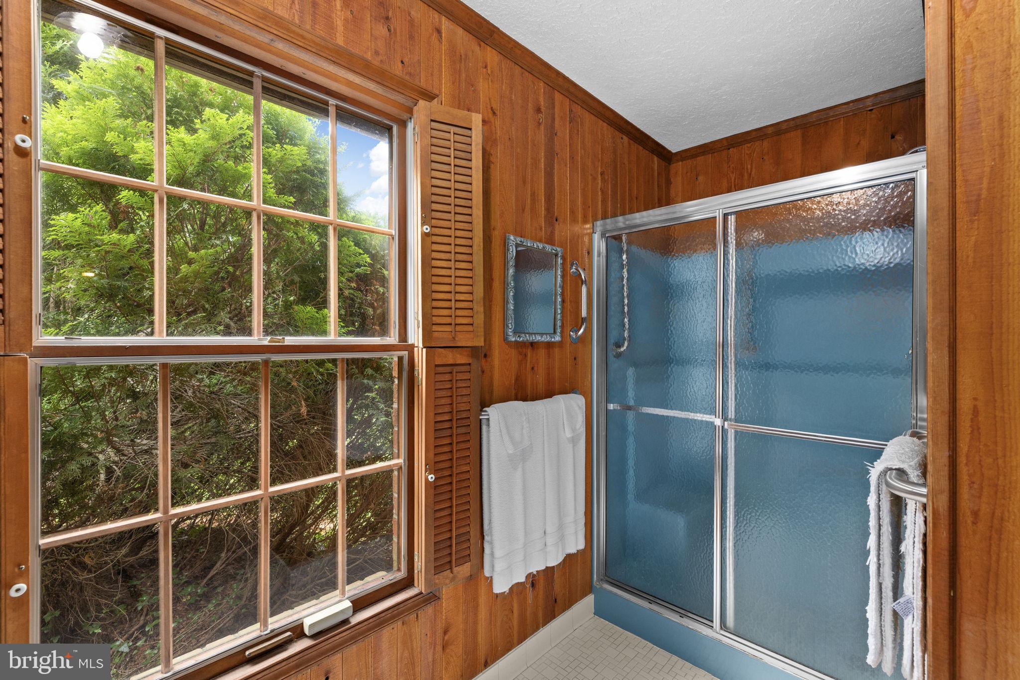 252 Boxley Lane Orange, VA 22960 - Photo 42 of 78 Separate walk in shower Master