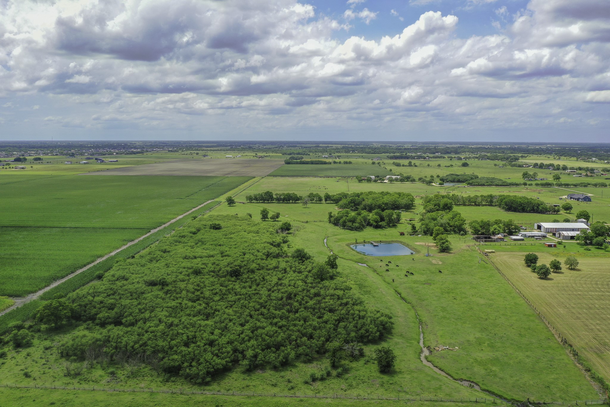 11810 Zamanek Road Needville, TX 77461 - Photo 7 of 30 a view of a lake with a big yard