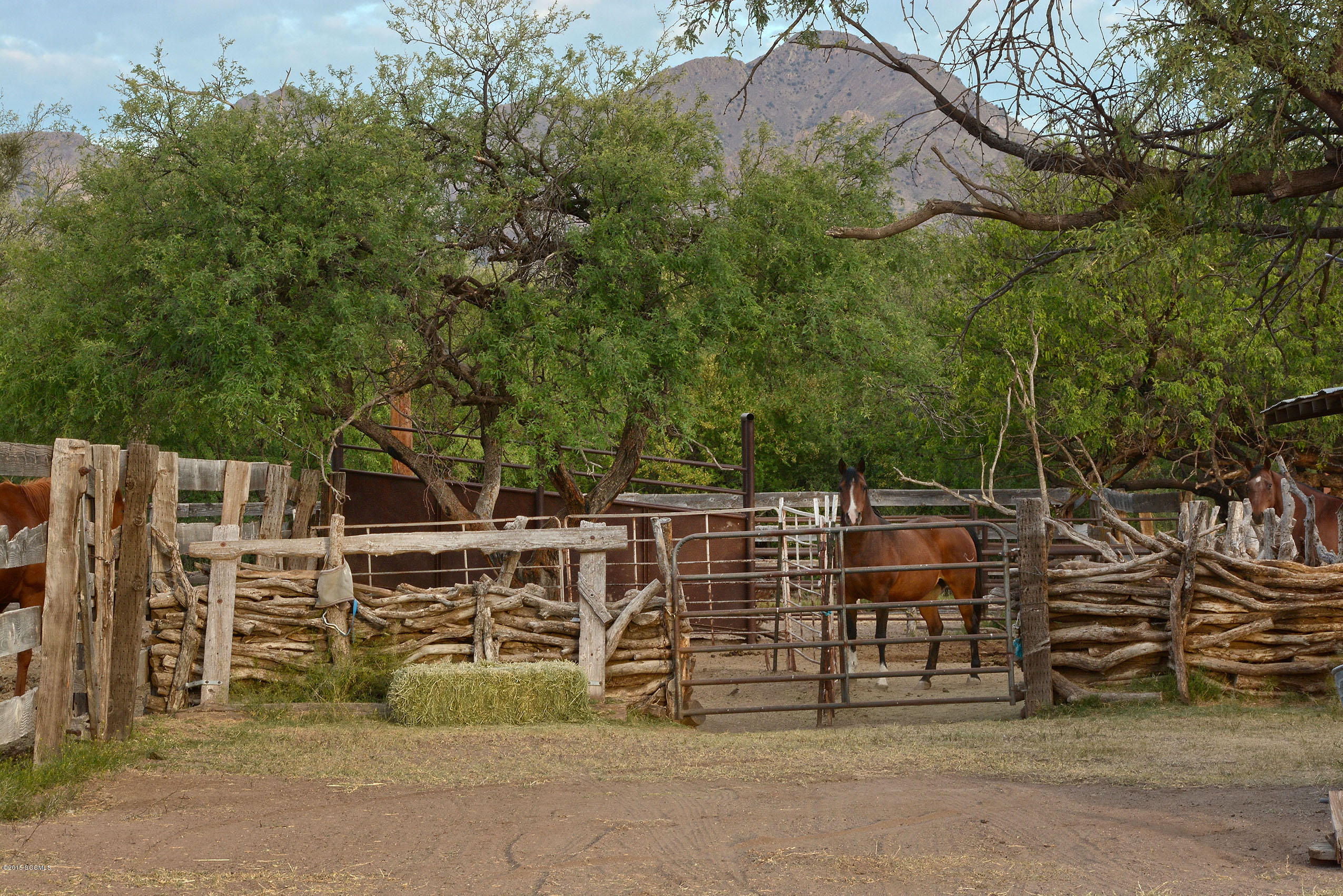 87 Clark Crossing Road Rio Rico, AZ 85648 - Photo 45 of 51 a view of a yard with table and chairs