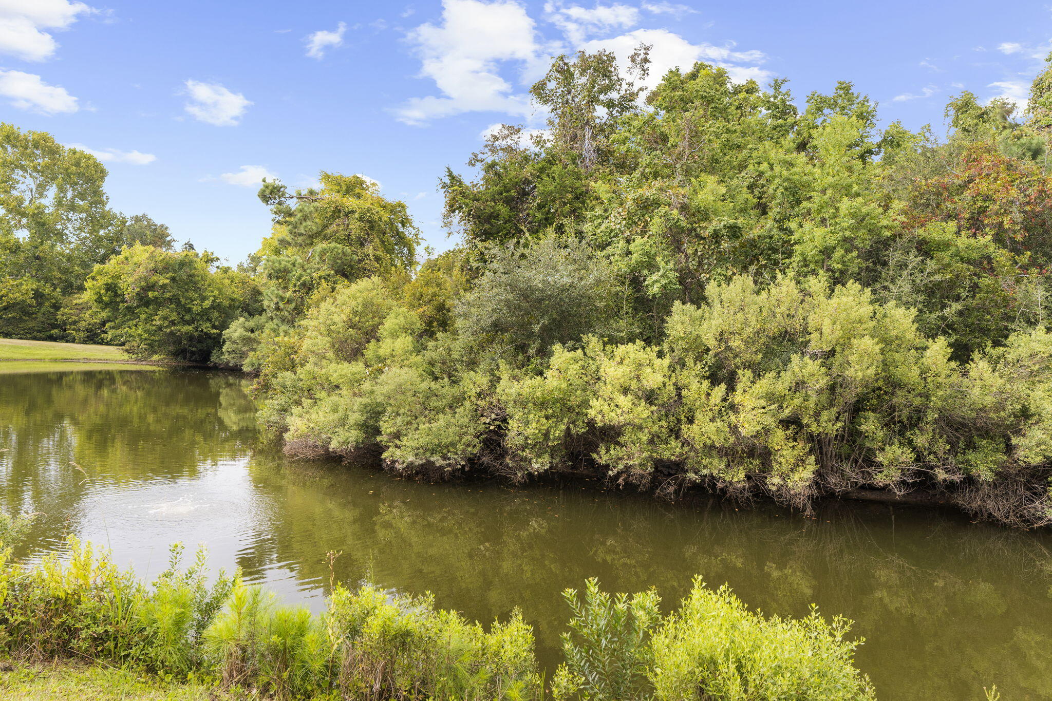 1604 Hopeman Lane Mount Pleasant, SC 29466 - Photo 61 of 93 81-web-or-mls-DSC00912