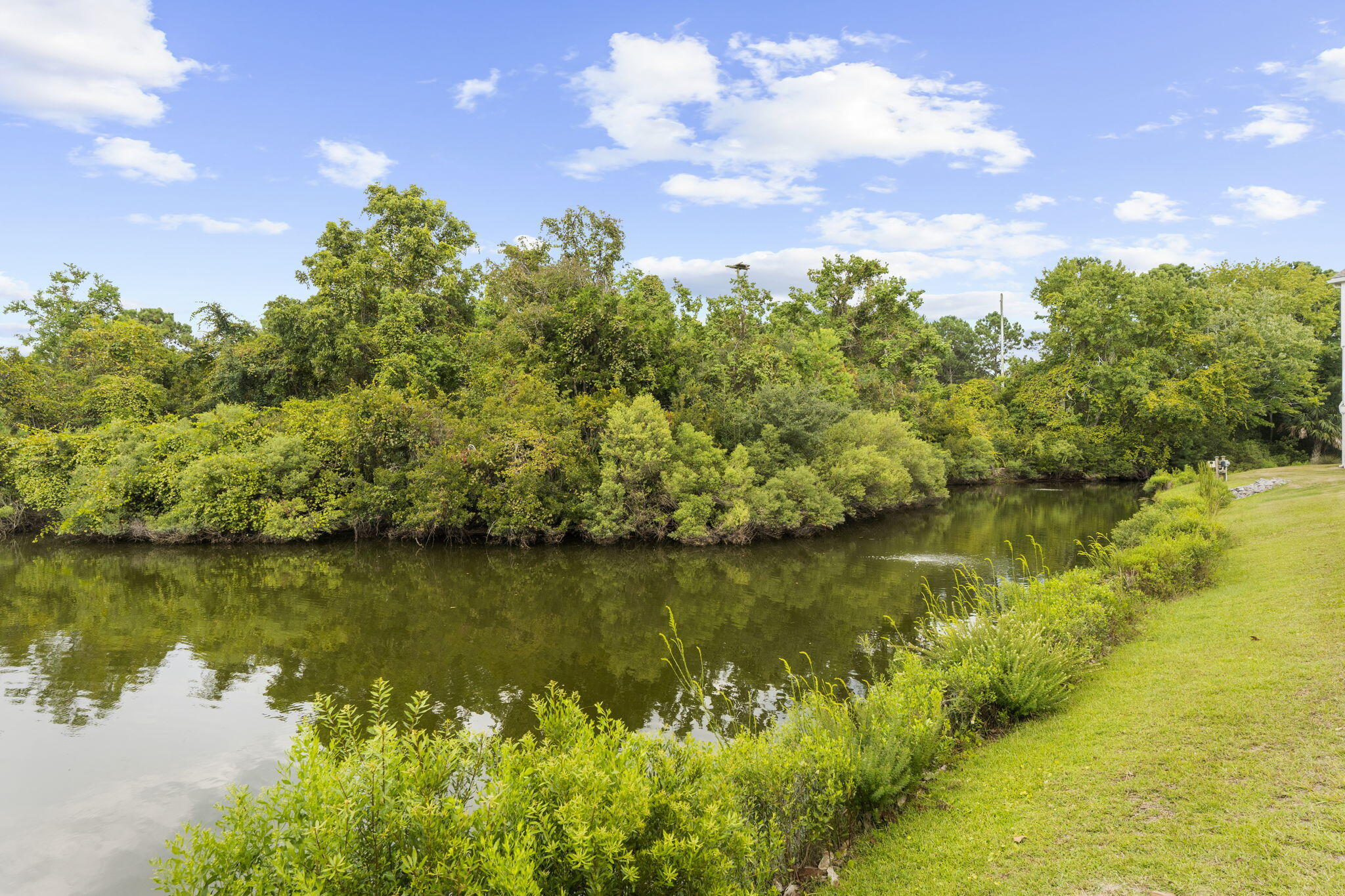 1604 Hopeman Lane Mount Pleasant, SC 29466 - Photo 63 of 93 82-web-or-mls-DSC00917
