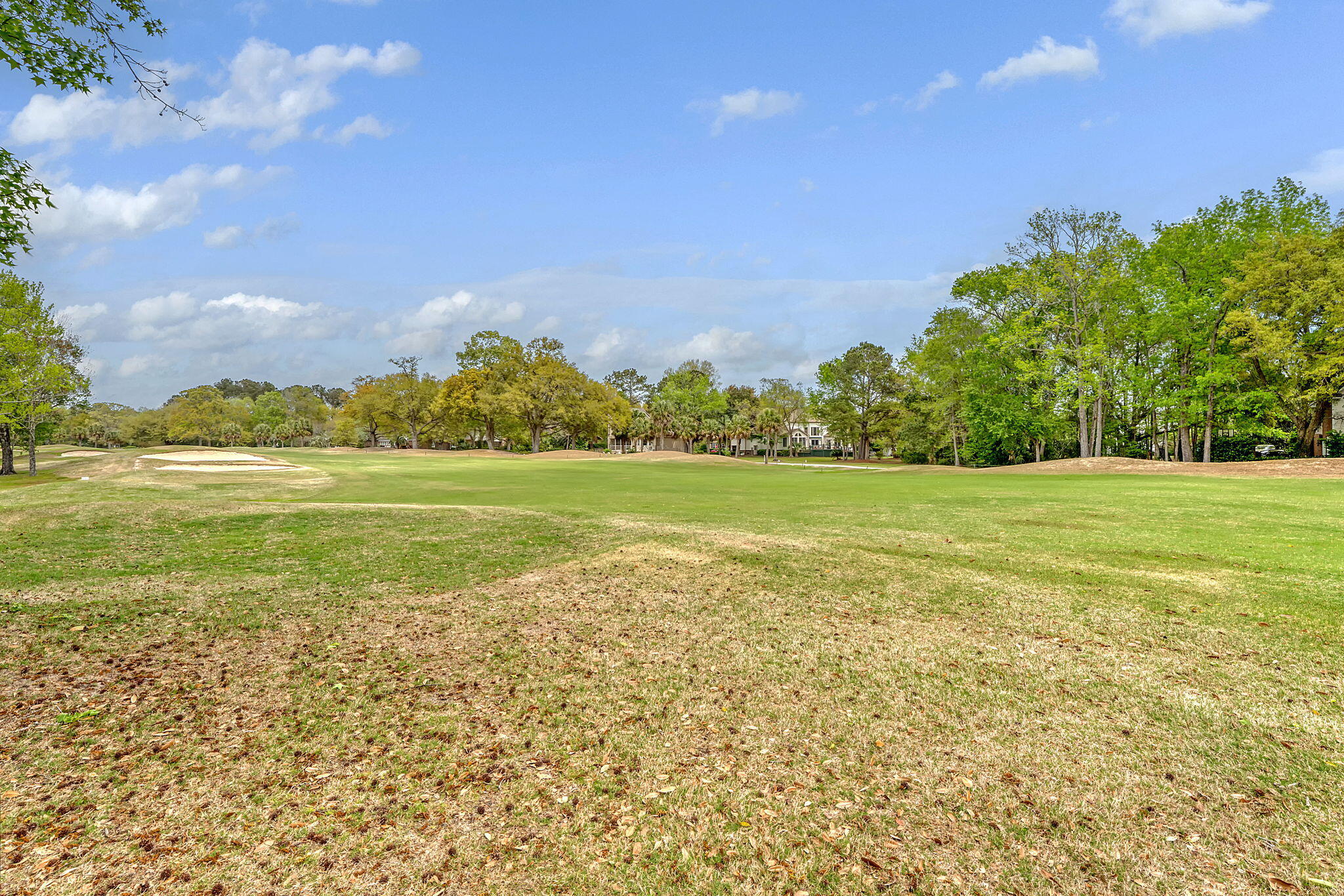1604 Hopeman Lane Mount Pleasant, SC 29466 - Photo 77 of 93 94-web-or-mls-DSC00671_12 copy