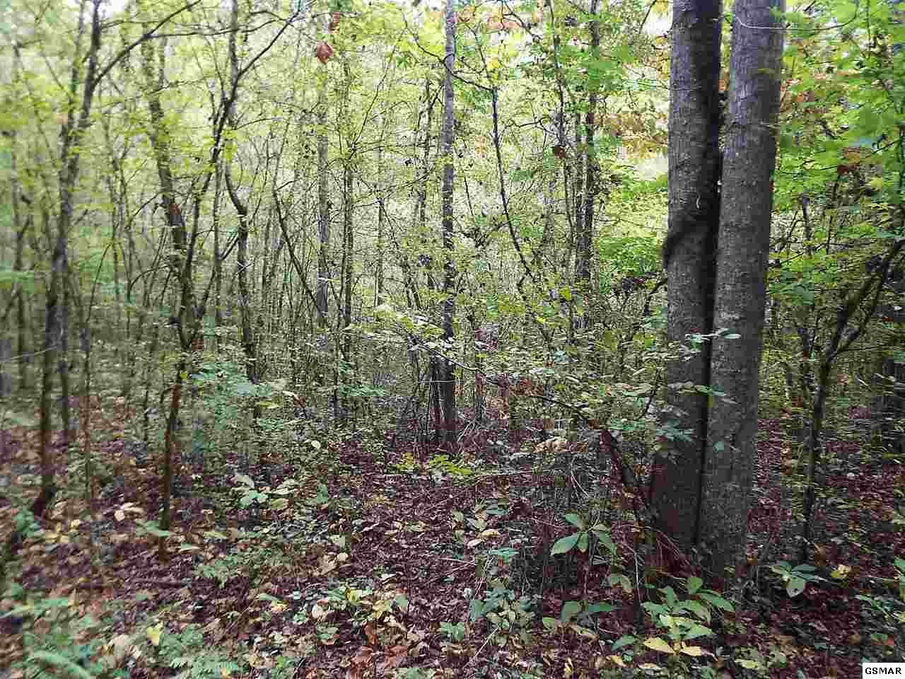 515 Country Square Road Newport, TN 37821 - Photo 1 of 1 Gallery Image 1