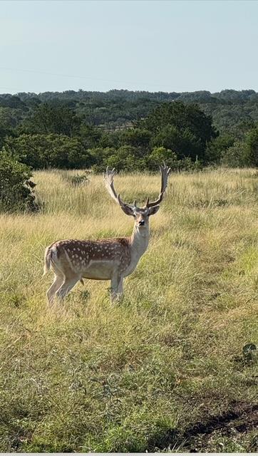 a view of a lake in middle of the town