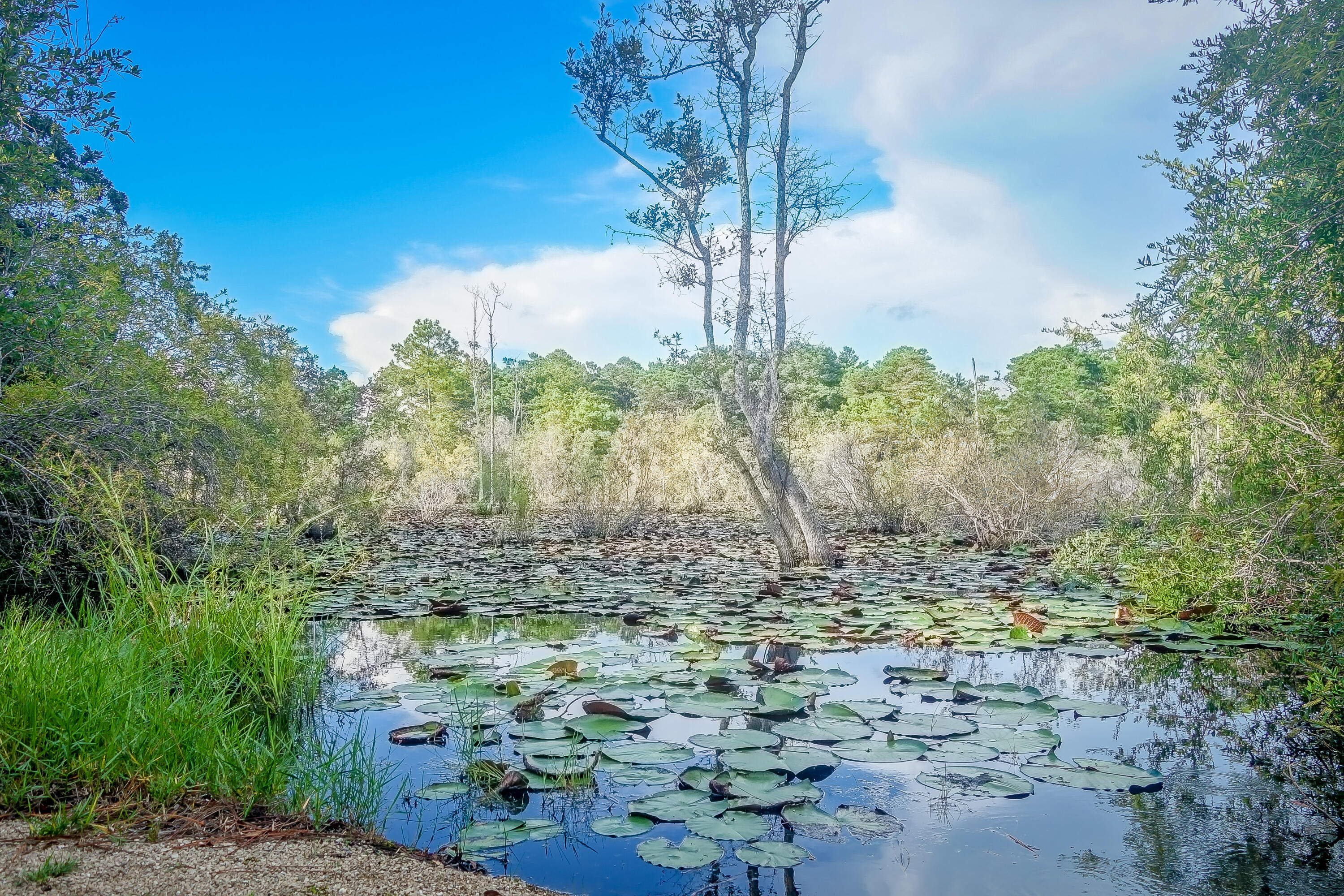 26 Okeechobee West Santa Rosa Beach, FL 32459 - Photo 46 of 53 Gallery Image 46