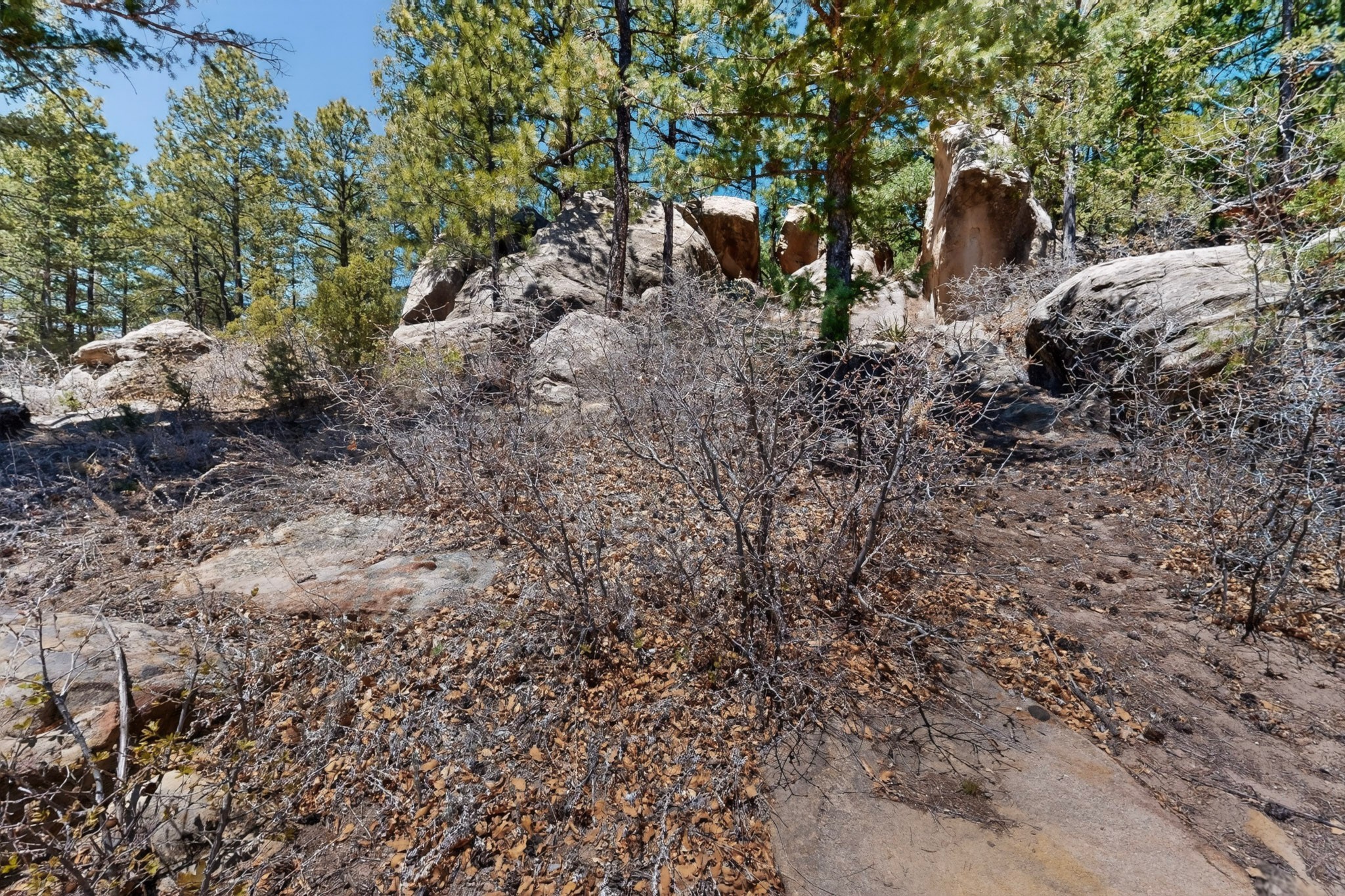 30 Monte La Cueva Road Glorieta, NM 87535 - Photo 85 of 91