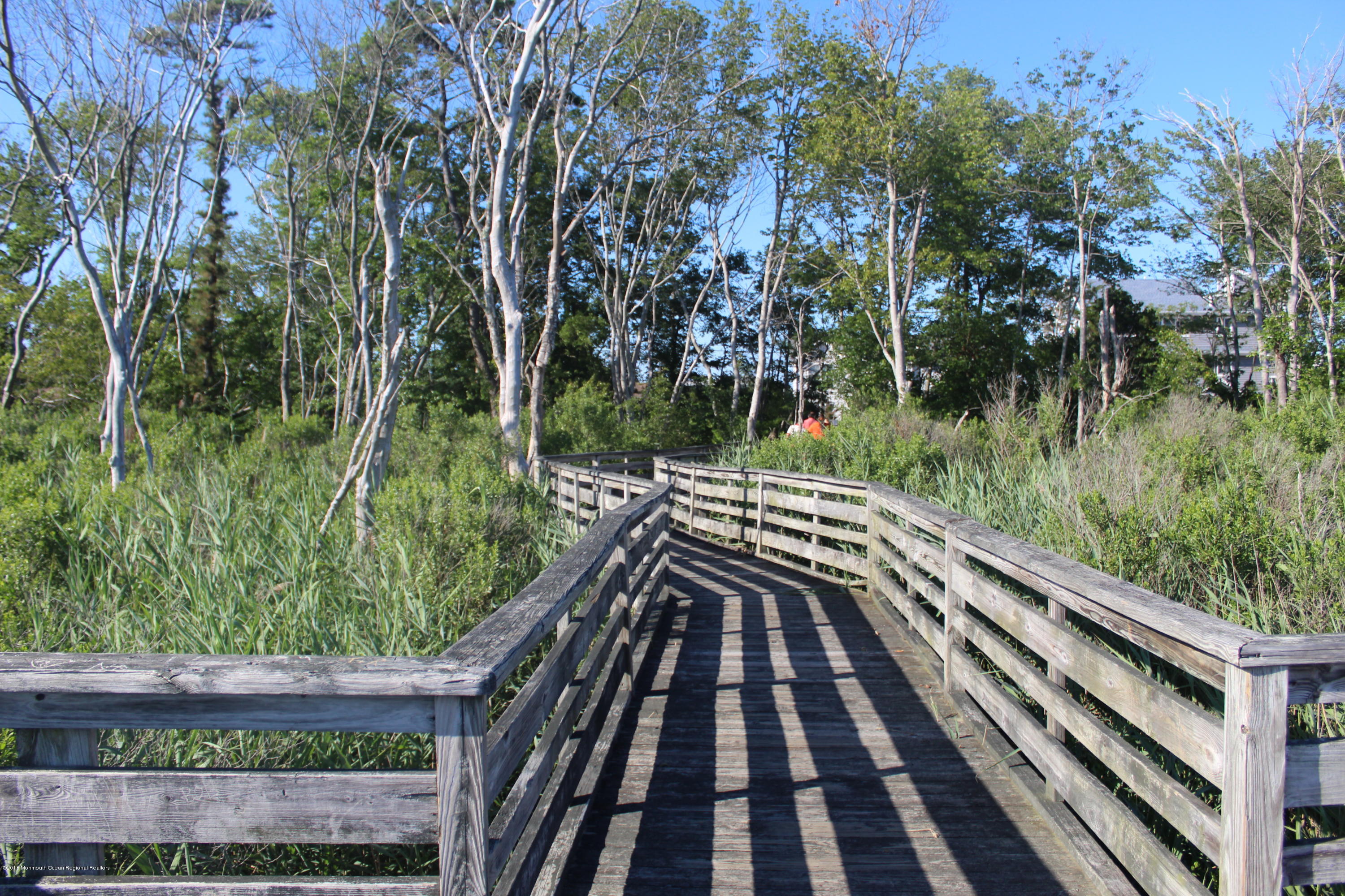 240 Newark Road South Barnegat, NJ 08005 - Photo 54 of 62 BARNEGAT-WILDLIFE REFUGE BOARDWALK