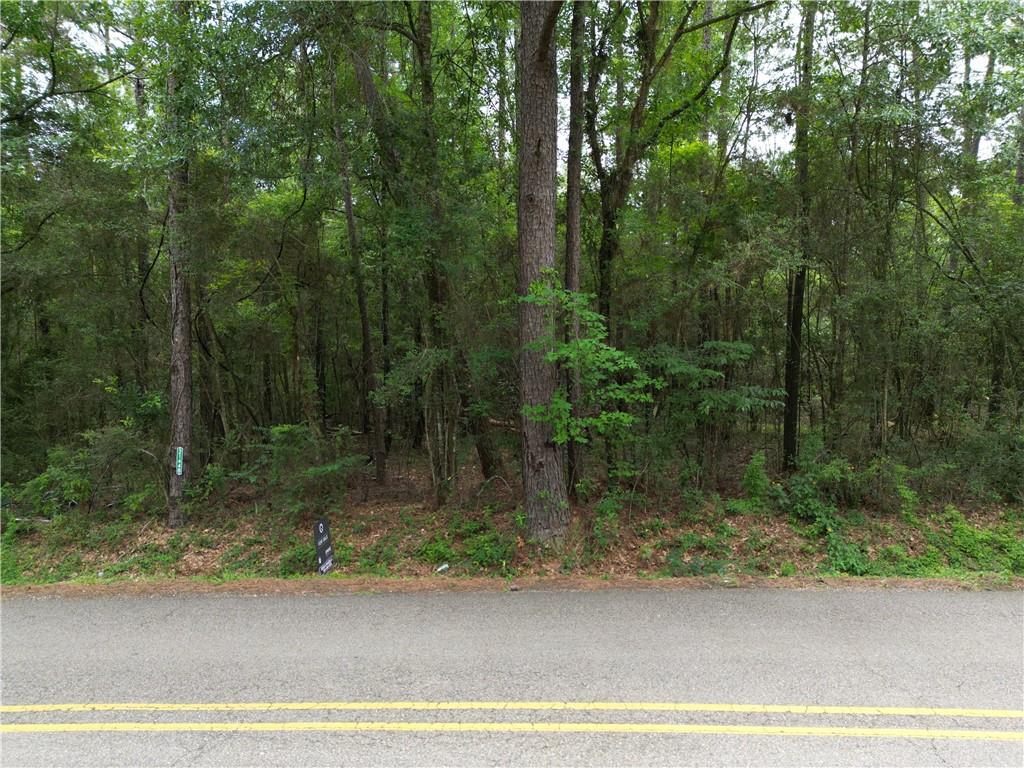 21448 Pat Obrien Road Covington, LA 70435 - Photo 3 of 10 Gallery Image 3