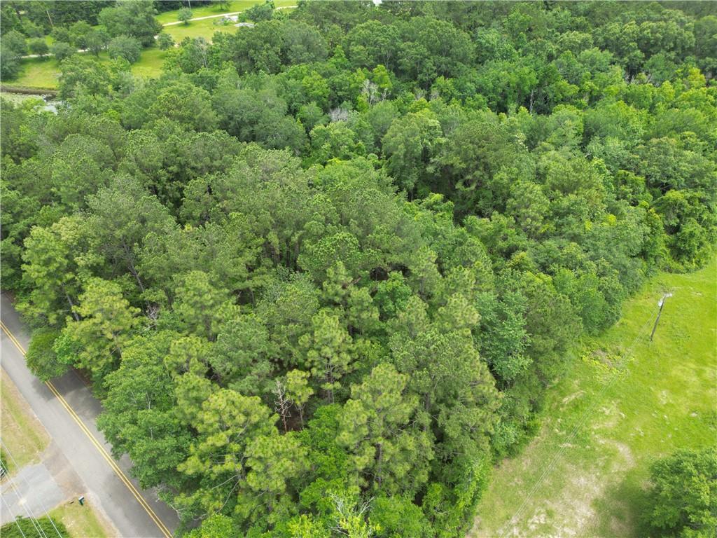 21448 Pat Obrien Road Covington, LA 70435 - Photo 5 of 10 Gallery Image 5