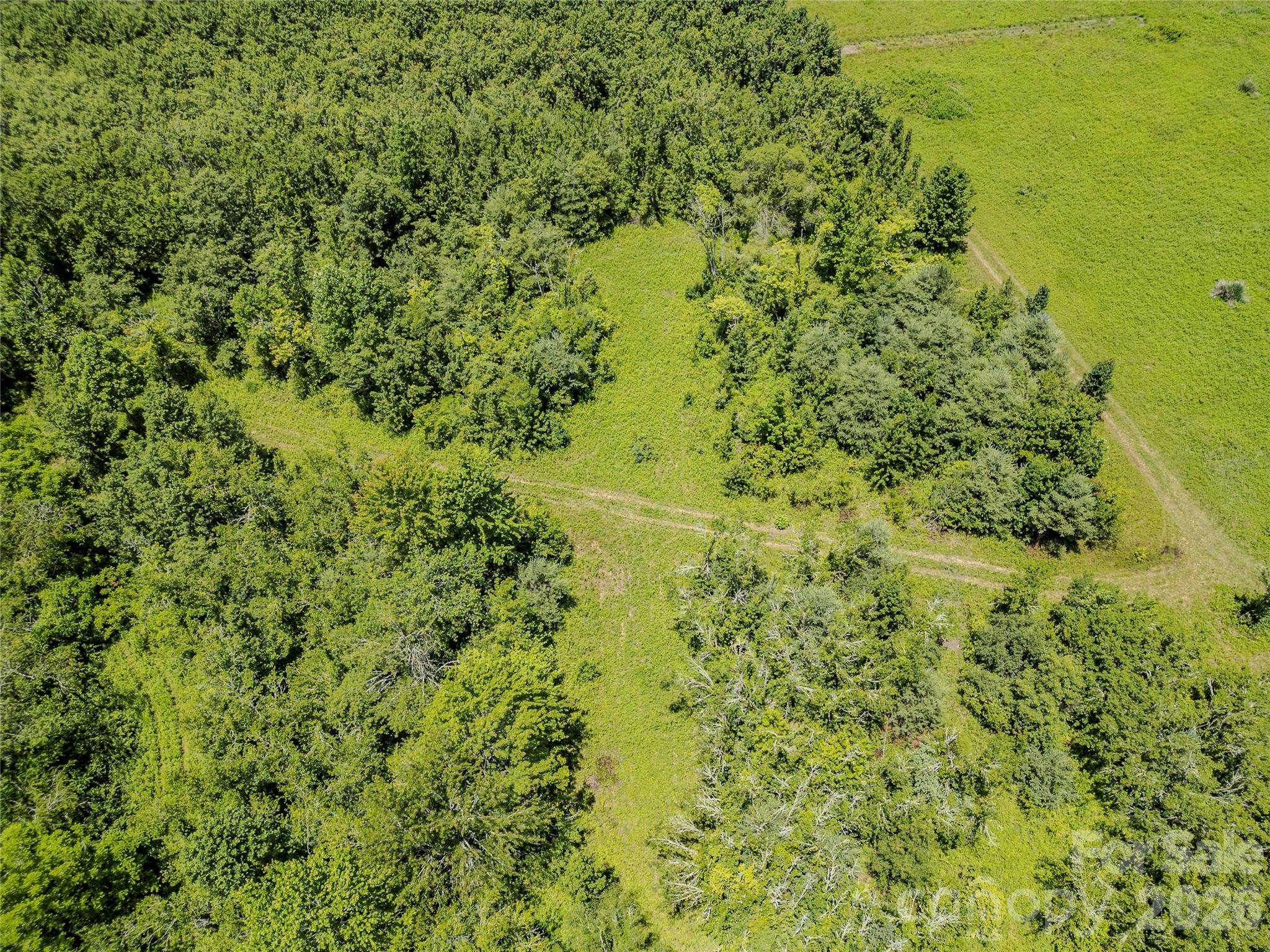 Tbd Canebrake Road Pisgah Forest, NC 28768 - Photo 41 of 43