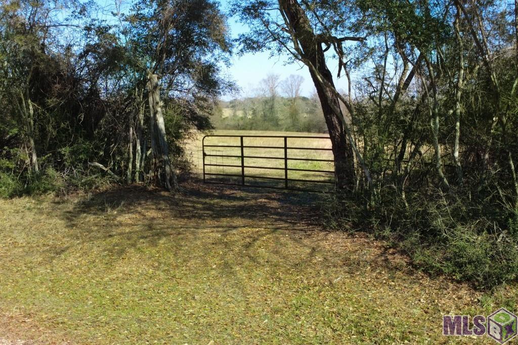 Tbd Boomerang Road Amite, LA 70422 - Photo 6 of 12