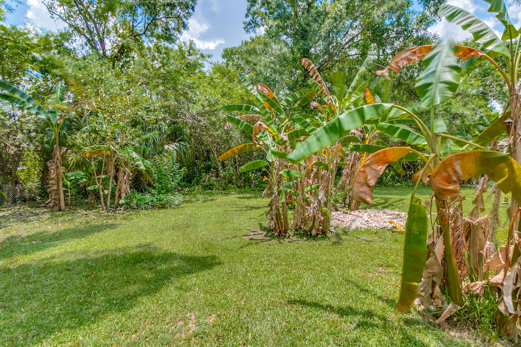 1097 Knecht Road Northeast Palm Bay, FL 32905 - Photo 39 of 46 1097 Knecht Road NE-17