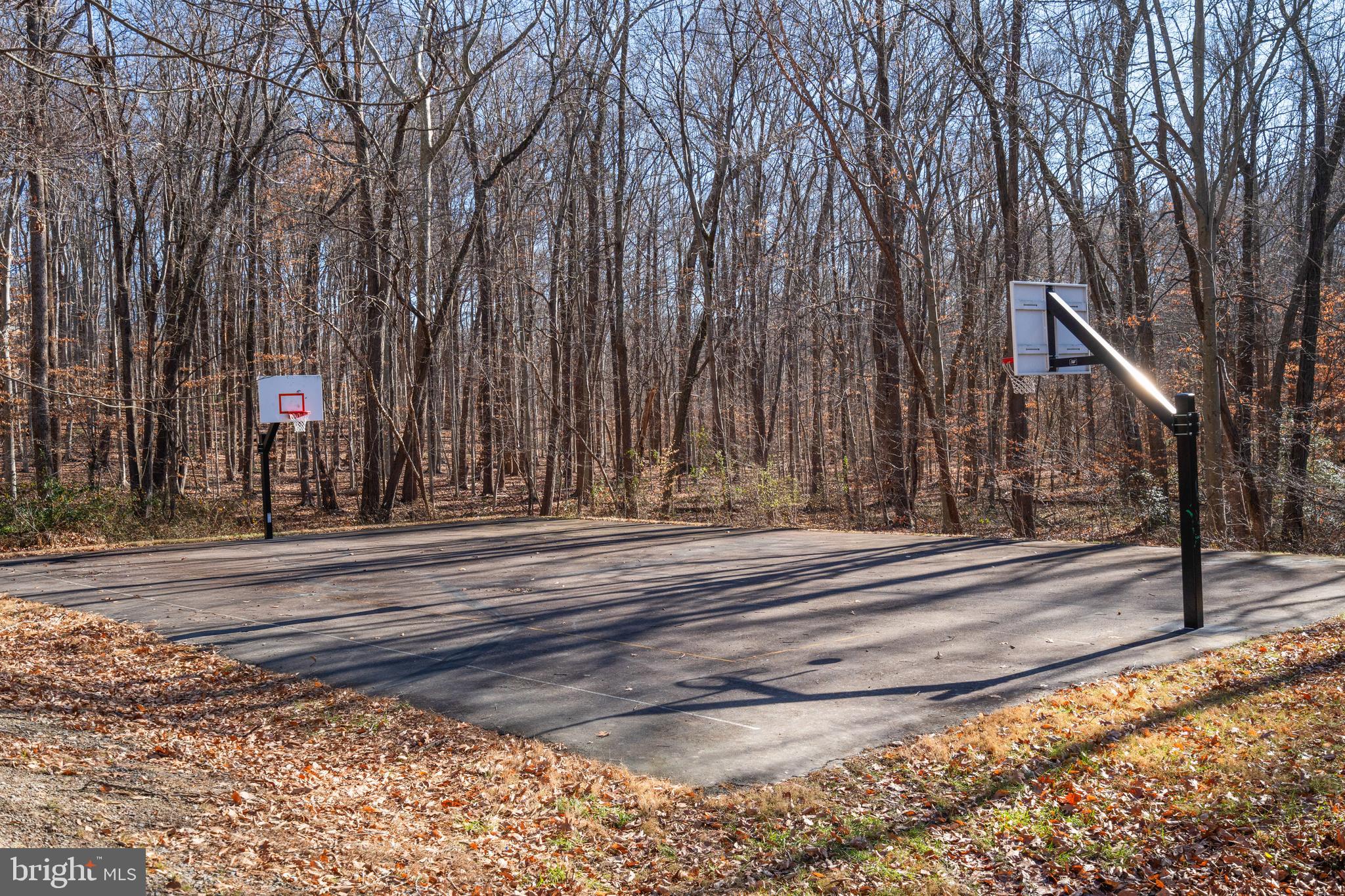 9060 Brook Ford Road Burke, VA 22015 - Photo 44 of 46