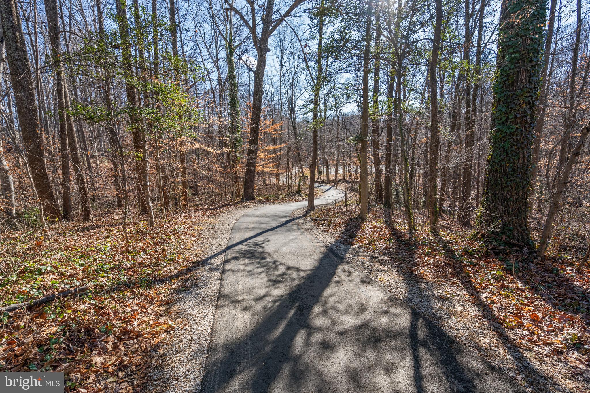 9060 Brook Ford Road Burke, VA 22015 - Photo 45 of 46