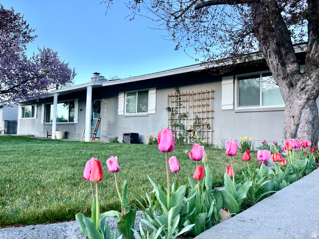 877 700 West Provo, UT 84604 - Photo 4 of 43