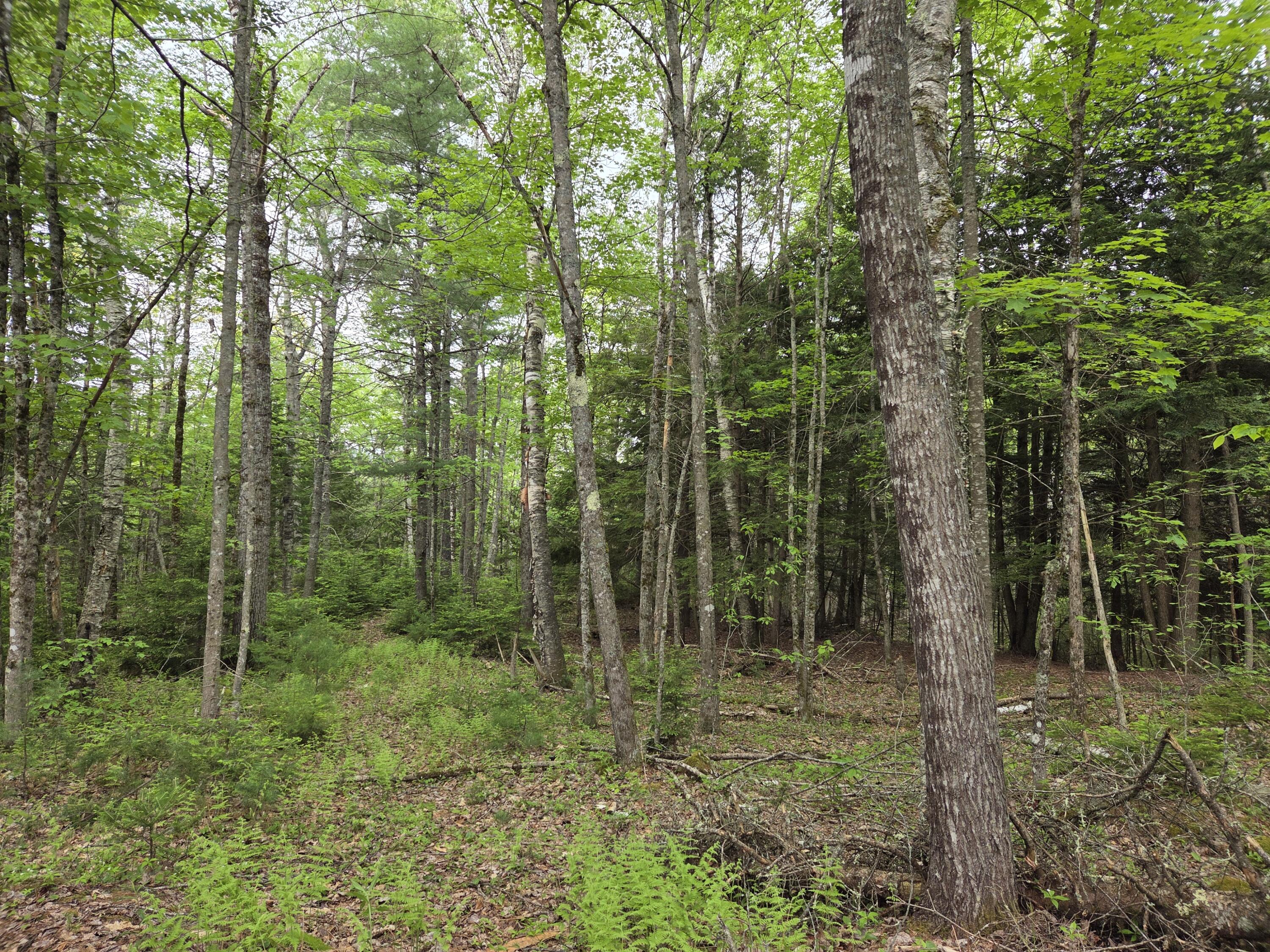 1462 Waterville Road Waldo, ME 04915 - Photo 24 of 70 20260528_100409