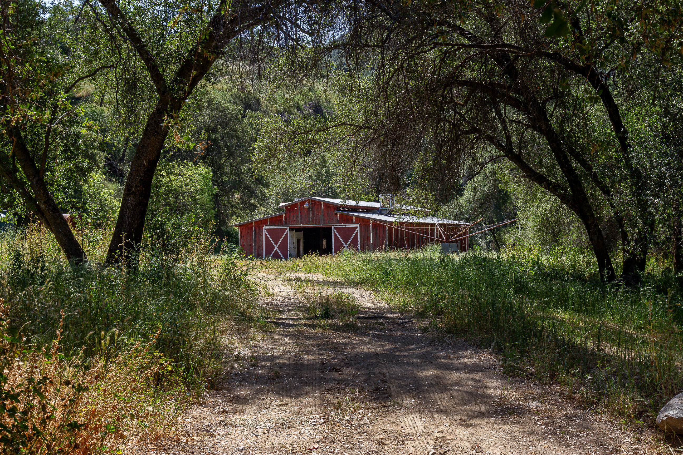 47993 North Fork Drive Three Rivers, CA 93271 - Photo 4 of 46 IMG_1994
