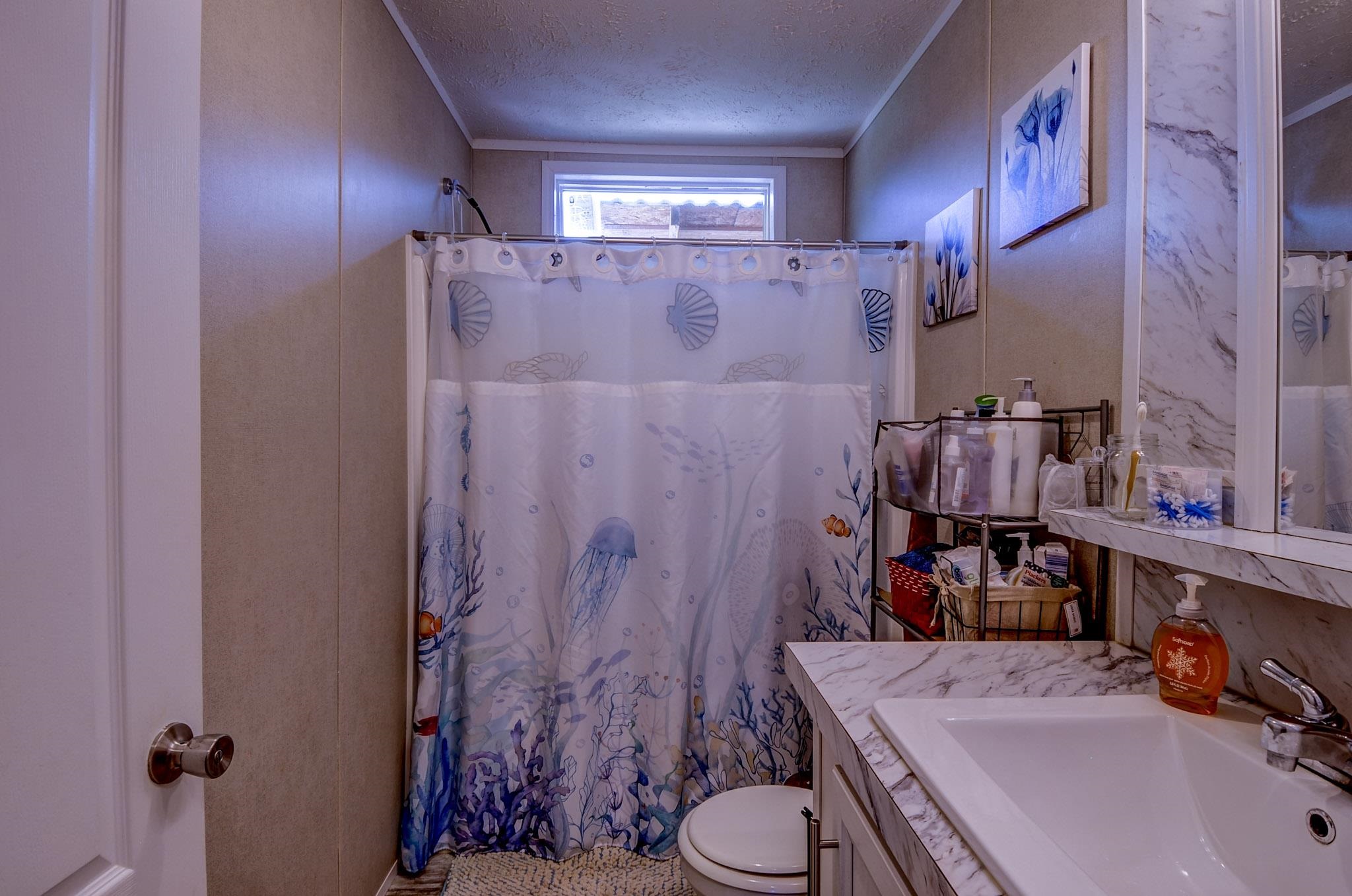 2450 South Neely Road Middleton, TN 38052 - Photo 26 of 38 Bathroom with a shower with curtain, vanity, and a textured ceiling