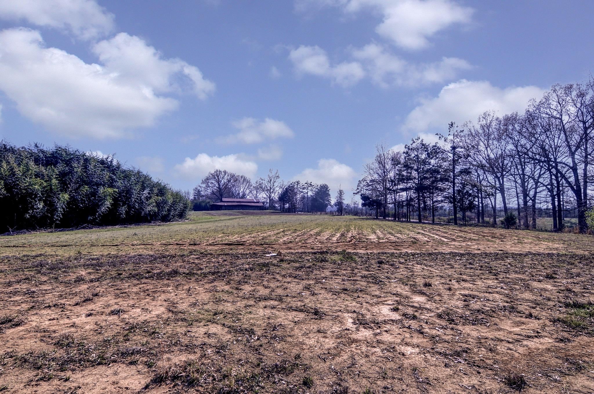 2450 South Neely Road Middleton, TN 38052 - Photo 35 of 36 a view of dirt yard and covered with trees