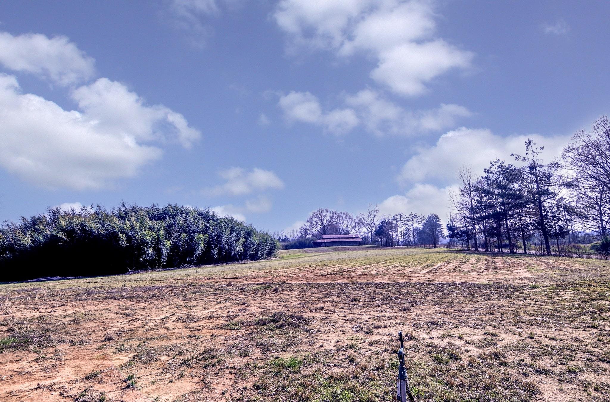 2450 South Neely Road Middleton, TN 38052 - Photo 36 of 36 a view of a yard and a large tree