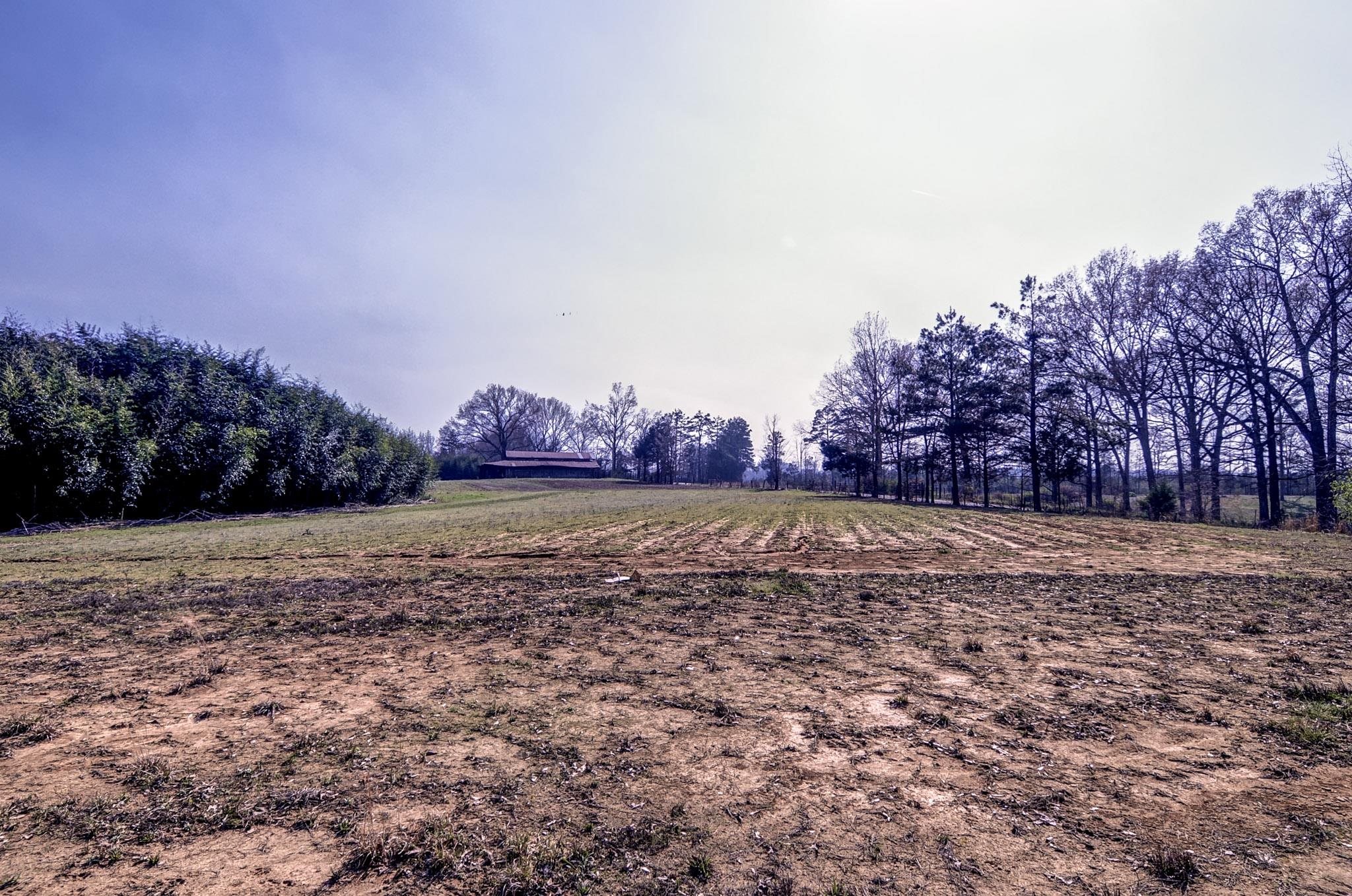 2450 South Neely Road Middleton, TN 38052 - Photo 37 of 38 View of yard with a view of rural / pastoral area