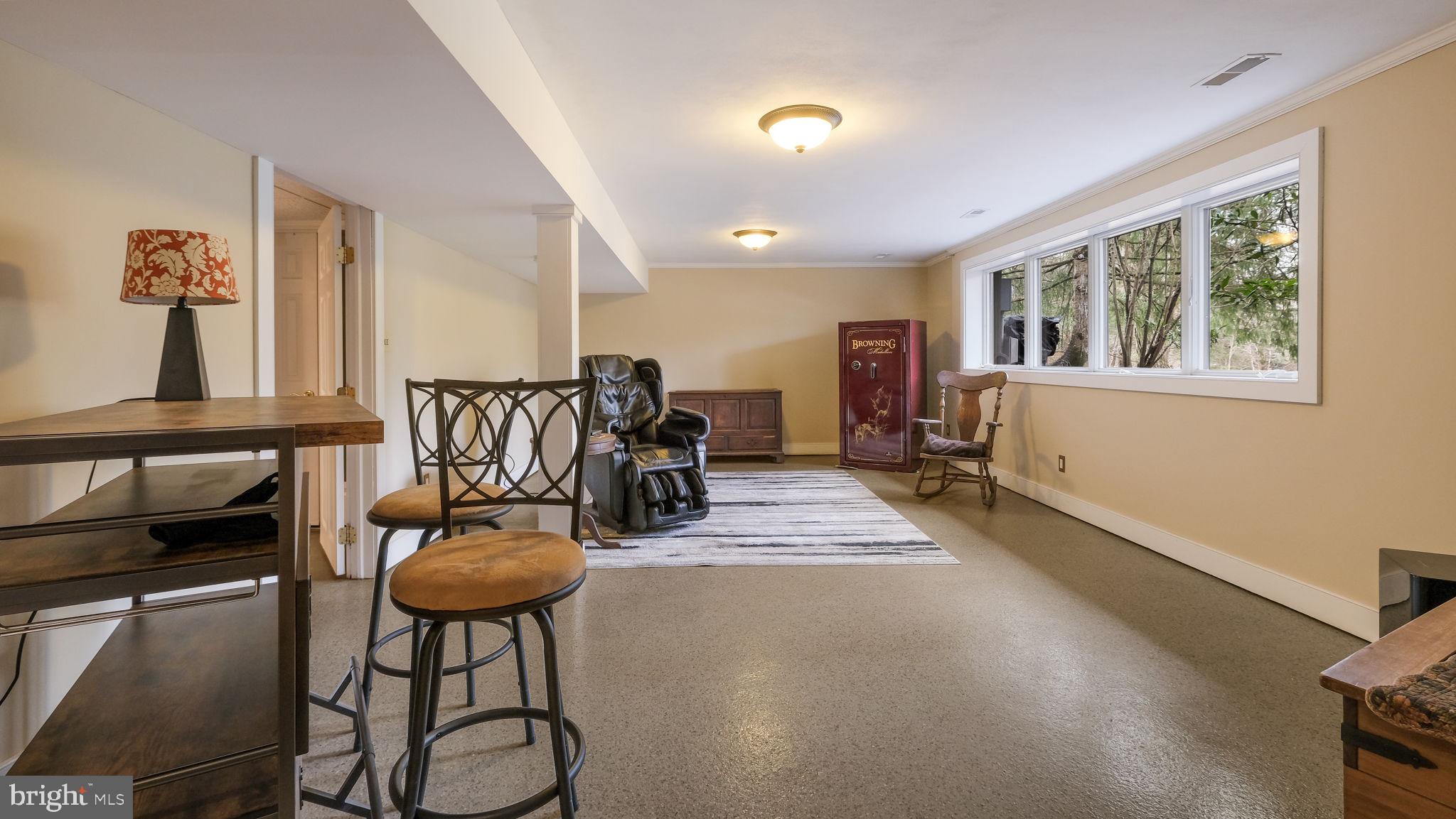 46 Valley Road New Hope, PA 18938 - Photo 34 of 56 LOWER LEVEL BONUS ROOM