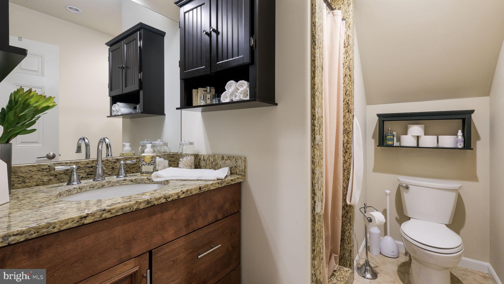 46 Valley Road New Hope, PA 18938 - Photo 54 of 56 a bathroom with a granite countertop toilet sink and mirror